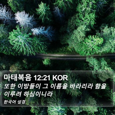 마태복음 12:21 KOR Bible Verse Image