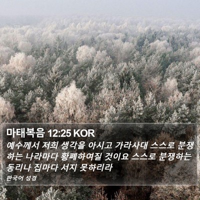 마태복음 12:25 KOR Bible Verse Image