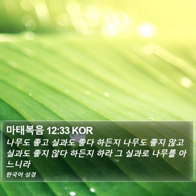 마태복음 12:33 KOR Bible Verse Image