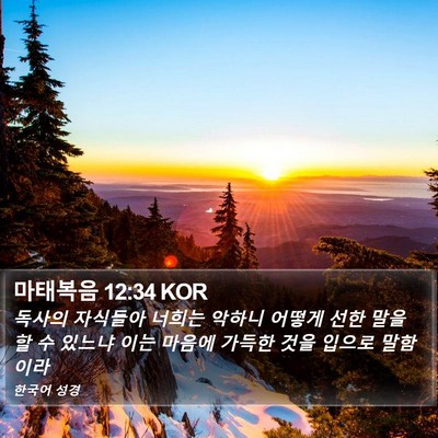 마태복음 12:34 KOR Bible Verse Image