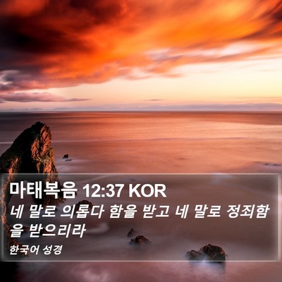 마태복음 12:37 KOR Bible Verse Image