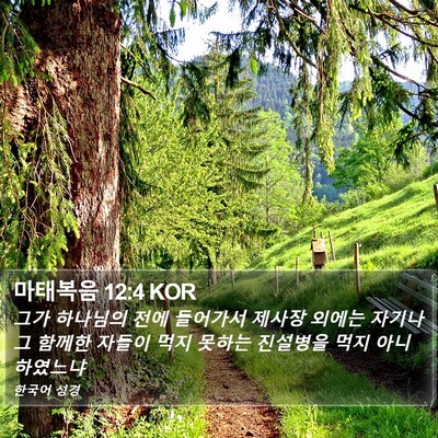 마태복음 12:4 KOR Bible Verse Image
