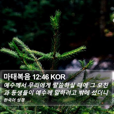 마태복음 12:46 KOR Bible Verse Image