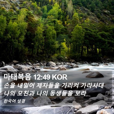 마태복음 12:49 KOR Bible Verse Image