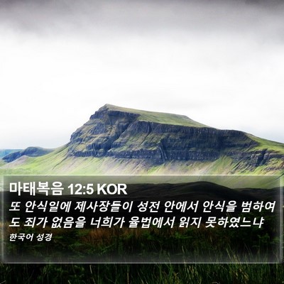 마태복음 12:5 KOR Bible Verse Image