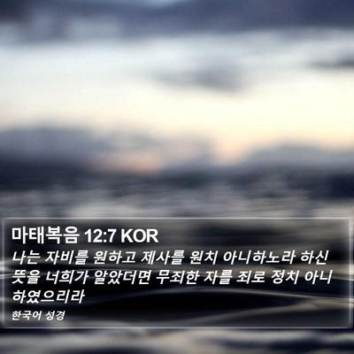 마태복음 12:7 KOR Bible Verse Image