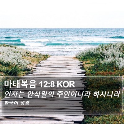 마태복음 12:8 KOR Bible Verse Image