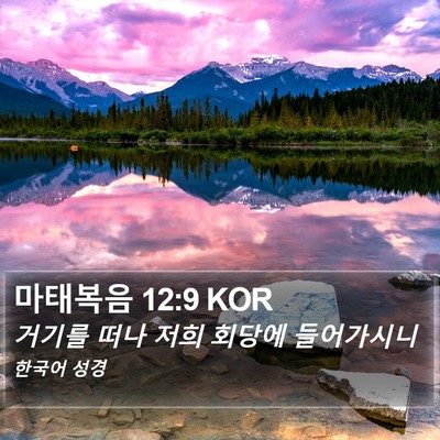 마태복음 12:9 KOR Bible Verse Image
