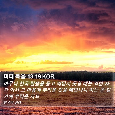 마태복음 13:19 KOR Bible Verse Image