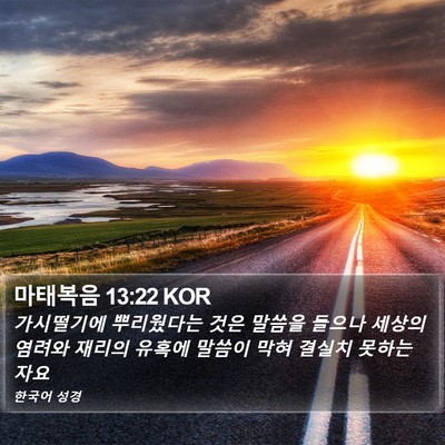 마태복음 13:22 KOR Bible Verse Image