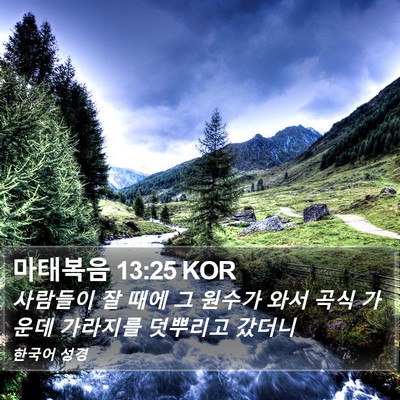 마태복음 13:25 KOR Bible Verse Image