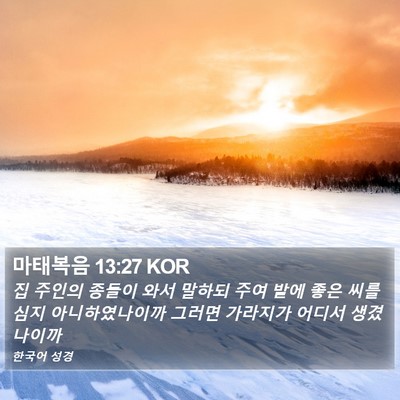 마태복음 13:27 KOR Bible Verse Image