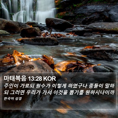 마태복음 13:28 KOR Bible Verse Image