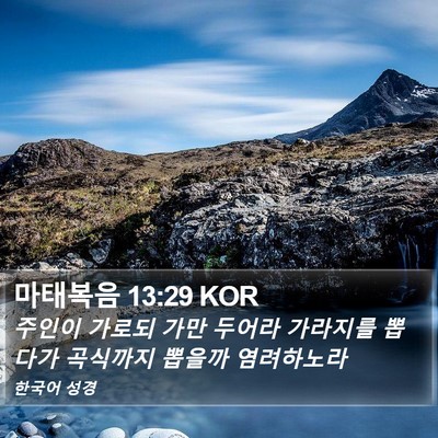 마태복음 13:29 KOR Bible Verse Image