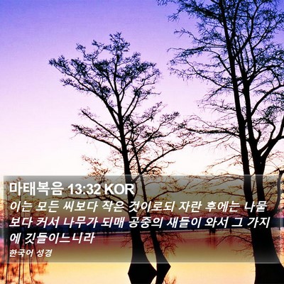 마태복음 13:32 KOR Bible Verse Image