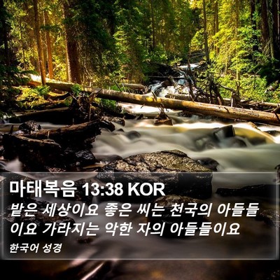 마태복음 13:38 KOR Bible Verse Image