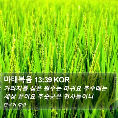 마태복음 13:39 KOR Bible Verse Image