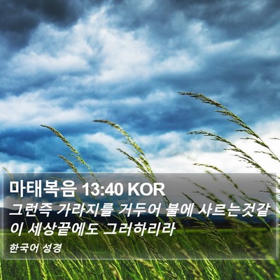 마태복음 13:40 KOR Bible Verse Image