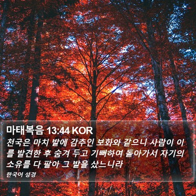 마태복음 13:44 KOR Bible Verse Image