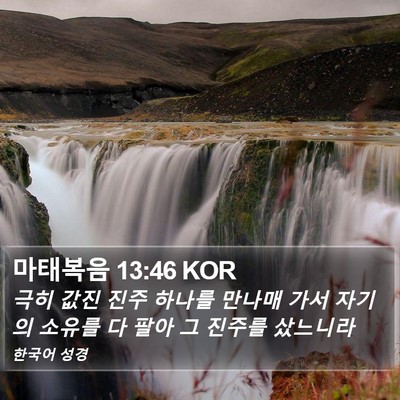 마태복음 13:46 KOR Bible Verse Image