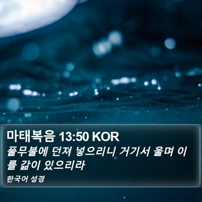 마태복음 13:50 KOR Bible Verse Image