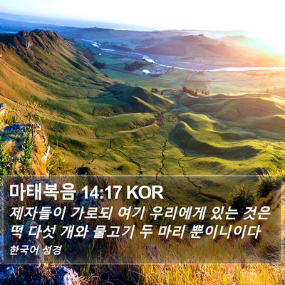 마태복음 14:17 KOR Bible Verse Image