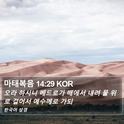 마태복음 14:29 KOR Bible Verse Image