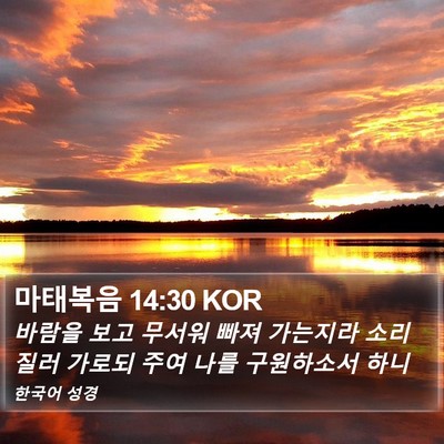 마태복음 14:30 KOR Bible Verse Image