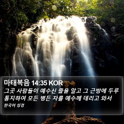 마태복음 14:35 KOR Bible Verse Image