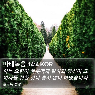 마태복음 14:4 KOR Bible Verse Image