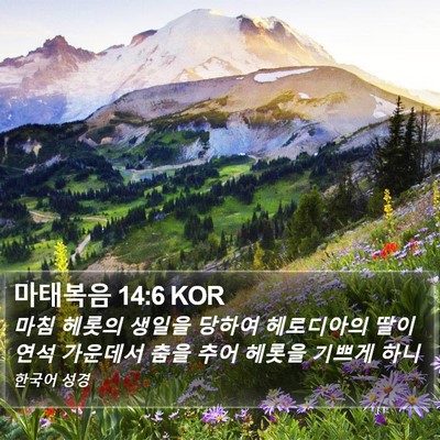 마태복음 14:6 KOR Bible Verse Image