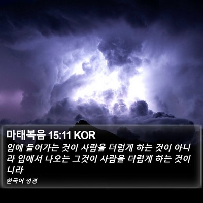 마태복음 15:11 KOR Bible Verse Image
