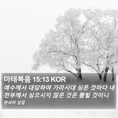 마태복음 15:13 KOR Bible Verse Image