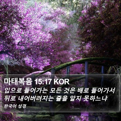 마태복음 15:17 KOR Bible Verse Image