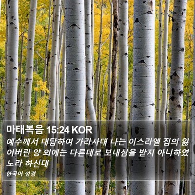 마태복음 15:24 KOR Bible Verse Image