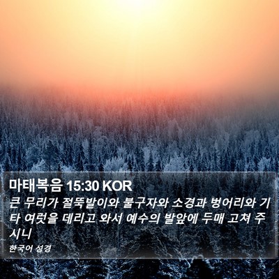 마태복음 15:30 KOR Bible Verse Image