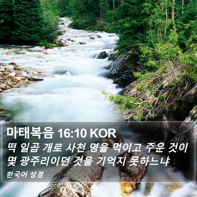 마태복음 16:10 KOR Bible Verse Image