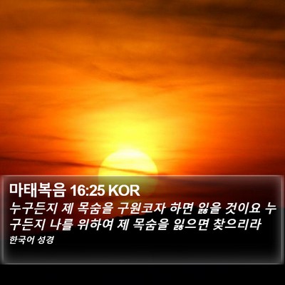 마태복음 16:25 KOR Bible Verse Image