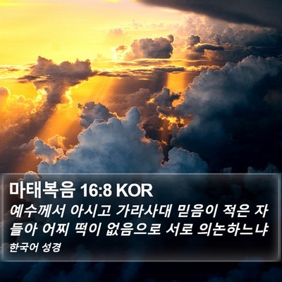 마태복음 16:8 KOR Bible Verse Image