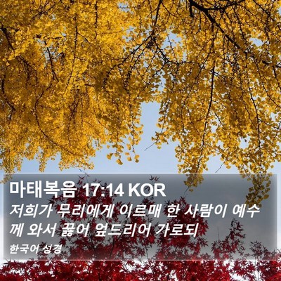 마태복음 17:14 KOR Bible Verse Image