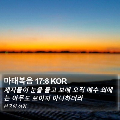 마태복음 17:8 KOR Bible Verse Image
