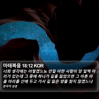 마태복음 18:12 KOR Bible Verse Image