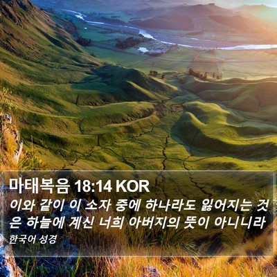 마태복음 18:14 KOR Bible Verse Image