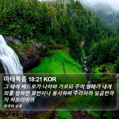 마태복음 18:21 KOR Bible Verse Image