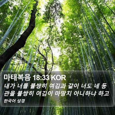 마태복음 18:33 KOR Bible Verse Image