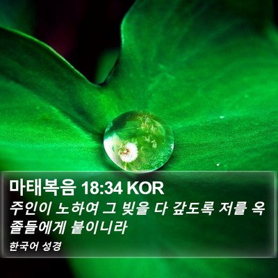 마태복음 18:34 KOR Bible Verse Image