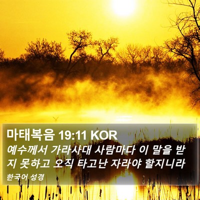 마태복음 19:11 KOR Bible Verse Image
