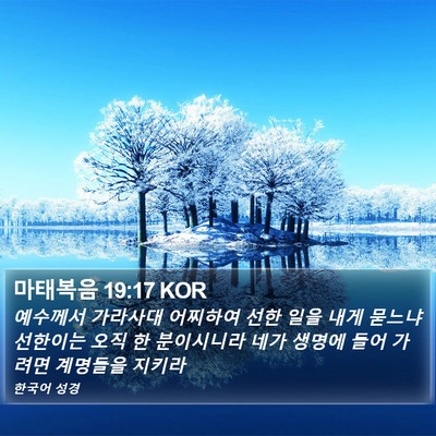 마태복음 19:17 KOR Bible Verse Image