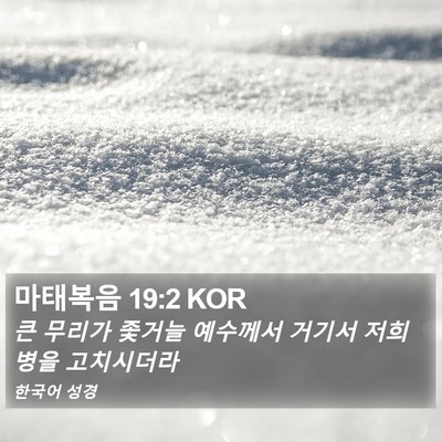 마태복음 19:2 KOR Bible Verse Image