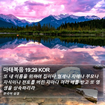 마태복음 19:29 KOR Bible Verse Image